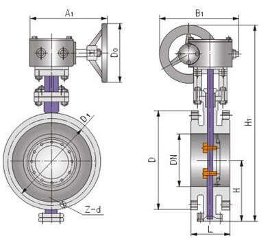 D343H不锈钢硬密封涡轮蝶阀结构图