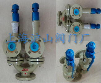 双联弹簧式安全阀