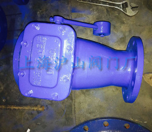 HH44Z-10-DN150铸铁微阻缓闭止回阀实拍2