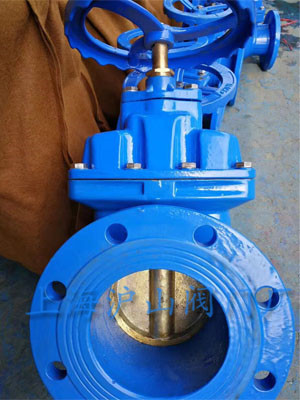 球铁铜芯闸阀发货1