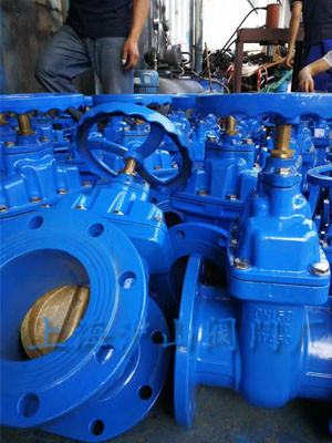 球铁铜芯闸阀发货3