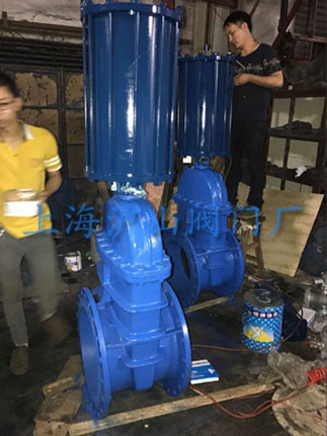 Z641X-16C气动软密封闸阀发货3